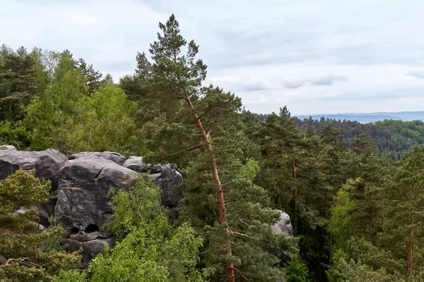 Zandstenen Rotsen Met Gaten Gezicht Rock Eruit Plaatsen Buurt Van — Stockfoto