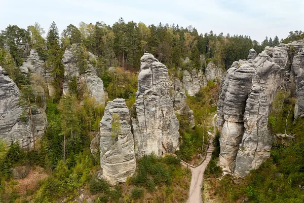 Les Rochers Grès Appelé Prachovske Skaly Rochers Prachov Dans Parc — Photo