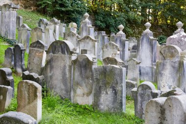 Çek Cumhuriyeti, Turnov - 17 Ağustos 2016: Eski Yahudi mezarlığı Turnov içinde taş mezar taşları ile. Liberec Region, Çek Cumhuriyeti. Orta Avrupa.