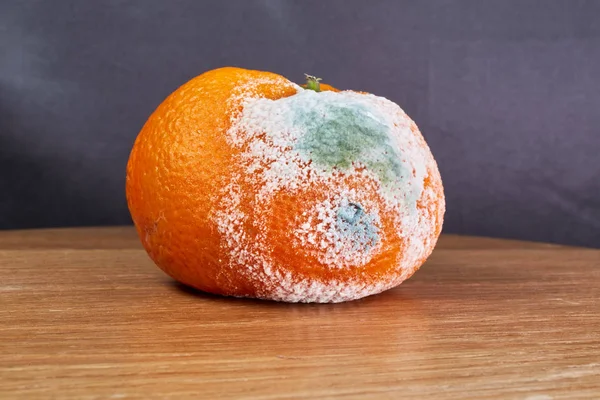 Rotten Moldy Orange Wooden Desk — Stock Photo, Image