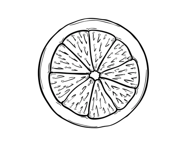 Rodaja de limón sobre fondo blanco — Vector de stock
