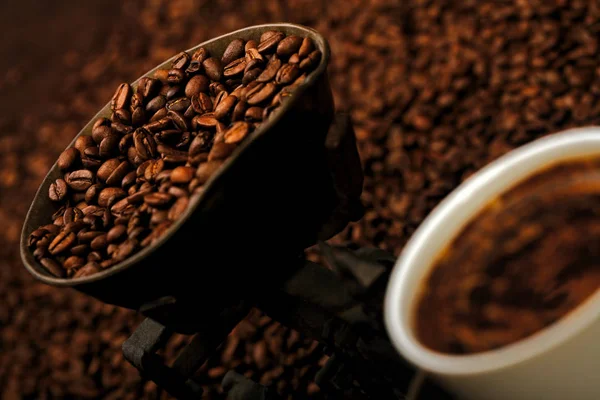 Siyah kahve tohumu. Taze ve aromatik.