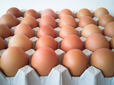 Fazla yumurta ile yumurta gri tepsi