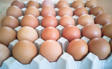 Fazla yumurta ile yumurta gri tepsi