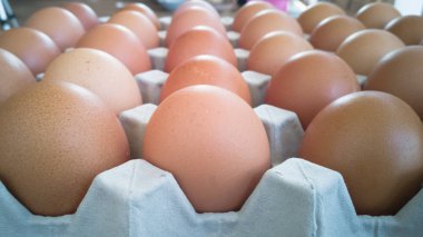 Fazla yumurta ile yumurta gri tepsi