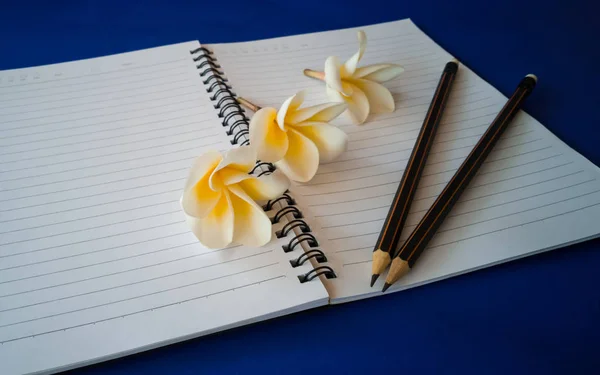 蓝色背景的笔记本上的铅笔和鲜花 — 图库照片