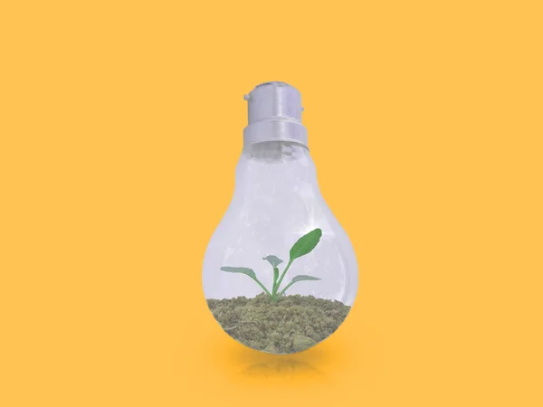 A small tree in a light bulb on a yellow background with energy-saving concepts to protect the environment.