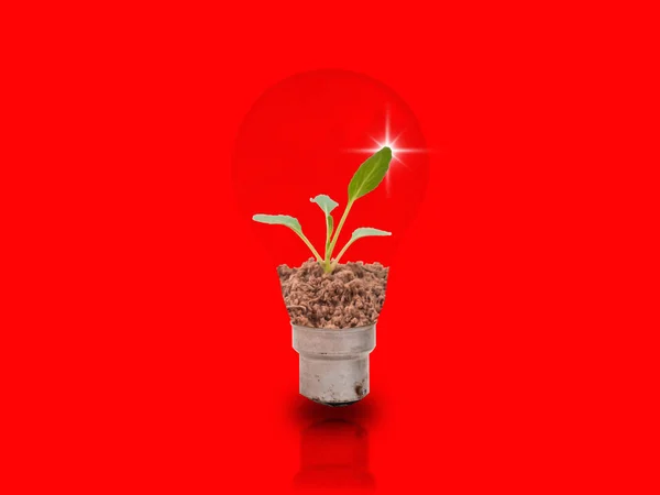 Small seedlings in bulbs on an orange background with energy-saving concepts to protect the environment.