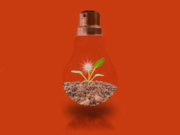 Small seedlings in bulbs on an orange background with energy-saving concepts to protect the environment.