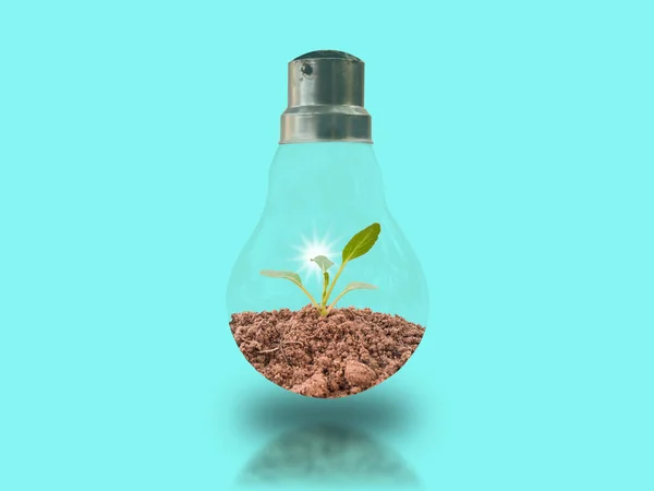 Small seedlings in two bulbs on a blue background with energy-saving concepts to protect the environment.