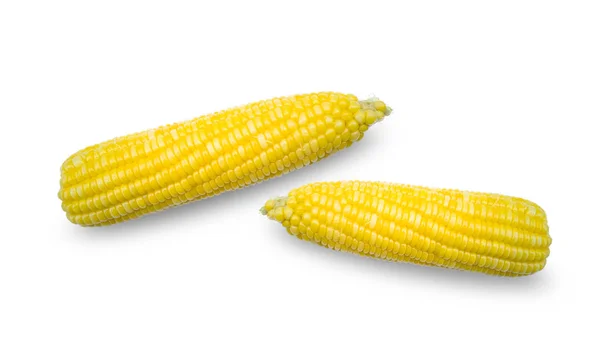 Corn Granen Zijn Heerlijk Rijk Aan Veel Voedingsstoffen Geïsoleerd Witte — Stockfoto