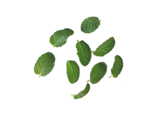 Fresh Green Mint Leaves Isolated White Background — Stock Photo, Image