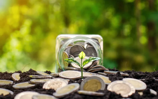 Trees that grow on coins and jars of money. Financial concepts and financial growth.