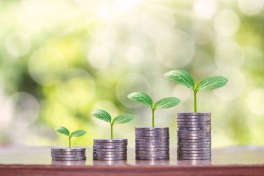 Para yığınında büyüyen ağaç para büyümesini, iş büyümesini ve yatırım büyümesini gösterir..