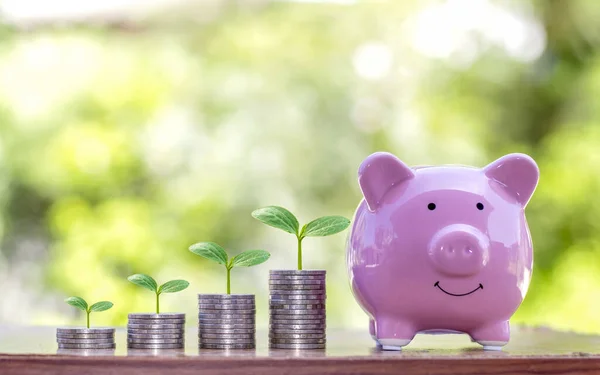 The tree that grows on the coin stack includes pig piggy banks to save money, ideas and financial and investment growth for agriculture.