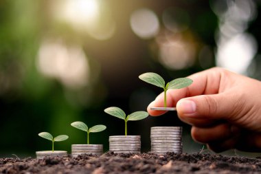 Para yığını üzerinde büyüyen ağaçlar arasında yatırımcıların elleri, mali yatırım kavramları ve yatırım büyümesi yer alıyor.