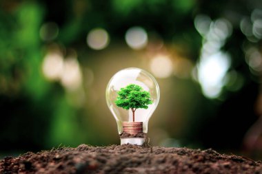 Ağaç, Dünya Günü 'nde ampullerde, enerji tasarrufu ve çevre kavramlarında yetişir..