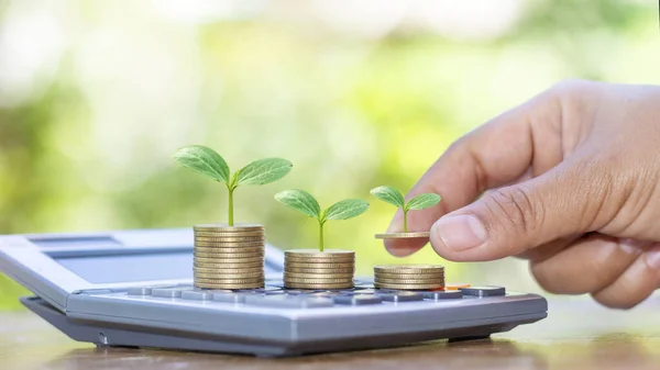 Mano Que Sostiene Árbol Que Crece Moneda Incluye Retoño Planta — Foto de Stock