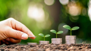 Para yığını üzerinde büyüyen ağaçlar arasında yatırımcıların elleri, mali yatırım kavramları ve yatırım büyümesi yer alıyor.