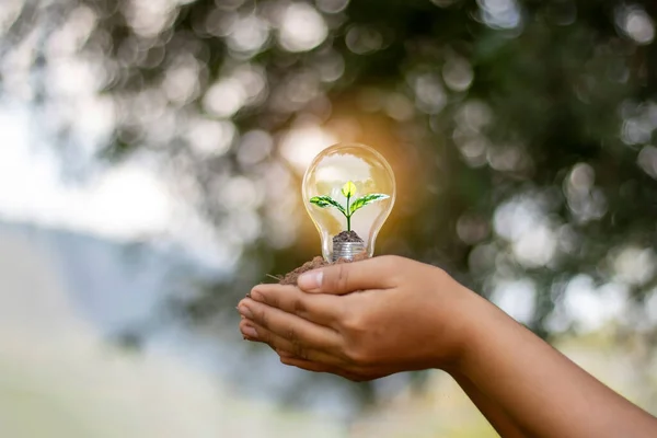 사람들의 에너지를 절약하는 램프에 에너지 친화적 — 스톡 사진