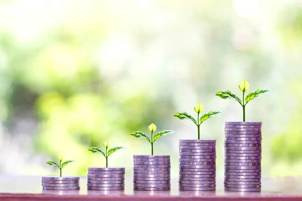 Árbol Creciendo Una Pila Monedas Gráficos Monedas Ideas Dinero Crecimiento — Foto de Stock