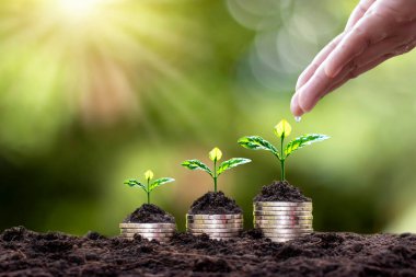 Yığılmış madeni paraların üzerine ekme ve yeşil arka planda el sulama bitkileri bulanık ve finansal konsepte sahip doğal ışık.