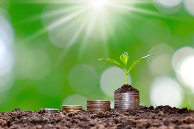 Yığılmış sikkeler ve verimli topraklarda bitki yetiştirme, tarım ve tarım için yatırım kavramı.