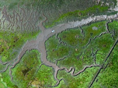 Düşük gelgit damarlar ve küçük tekne benzer doğal desenler.