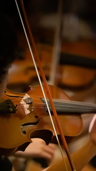 Closeup of the musician\'s hand is playing a violin in an orchestra.