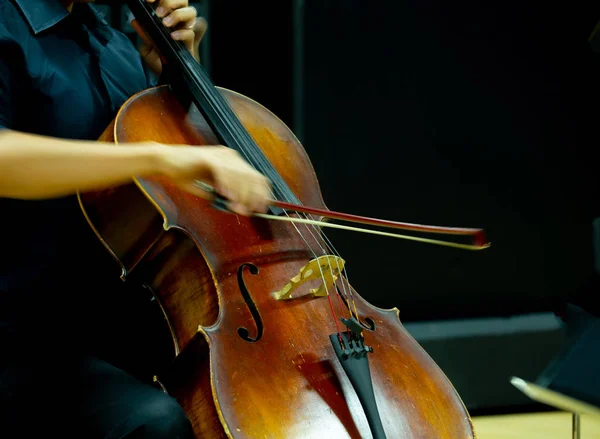 Des Musiciens Proches Jouent Violon Dans Des Concerts Musique Classique — Photo