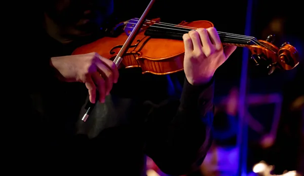 Closeup müzisyenler klasik müzik konserlerinde keman oynuyorlar.