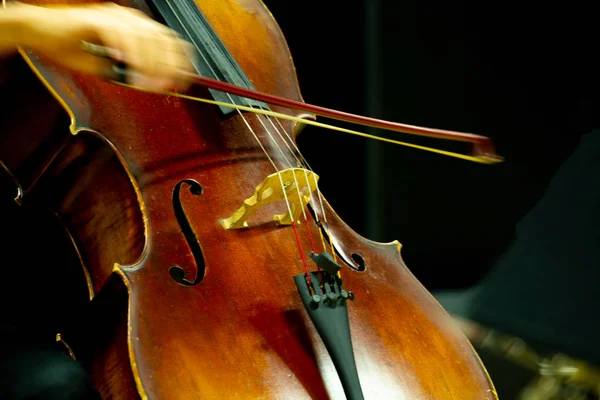 Closeup müzisyenler klasik müzik konserlerinde keman oynuyorlar.