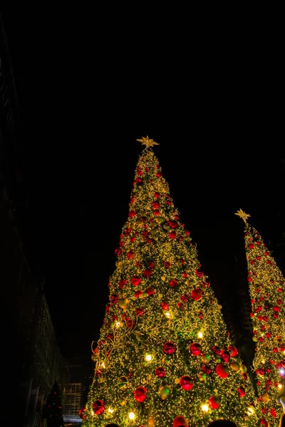Árvore Natal Brilhante Noite Dezembro Que Divertido — Fotografia de Stock
