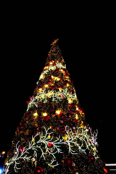 Eğlenceli Aralık geceleri parlak Noel ağacı.