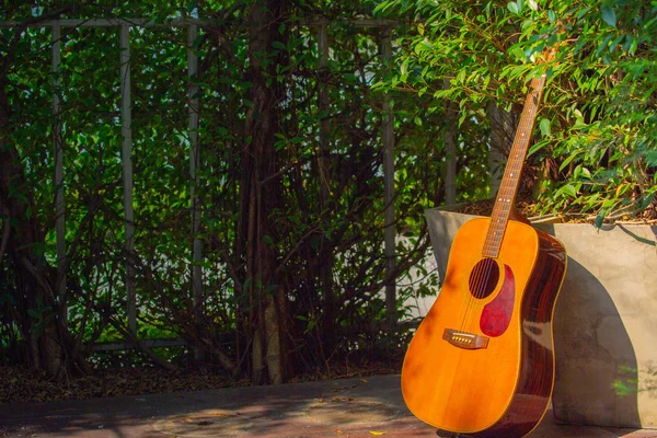 Guitarra Acústica Que Coloca Jardín Casa Con Una Caja Guitarra —  Fotos de Stock