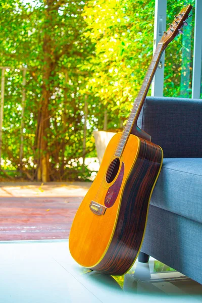 Acoustic guitar that is placed in the garden at home with a guitar box