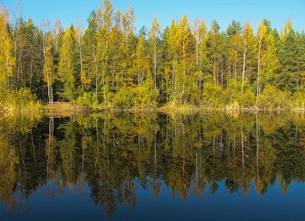 Güneşli bir gün güzel bir göl Sonbahar Ormanı. Göl sakin suda yansıtan parlak renkli ağaçlar.