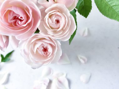 Bir buket güzel pembe gül