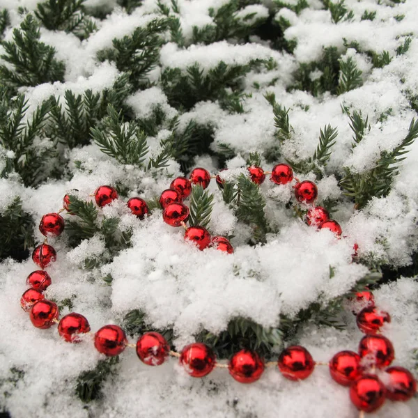 多くの針葉樹の木の枝のテクスチャは心臓の形の雪と赤いビーズで覆われています クリスマス バレンタインデーの背景 — ストック写真