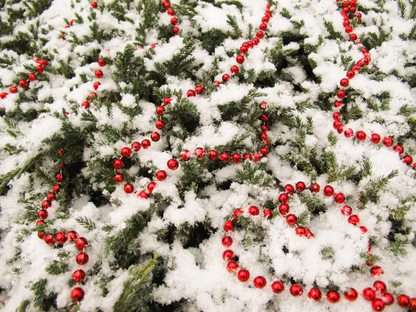 Texture Nombreuses Branches Conifères Couvertes Neige Perles Rouges Coeur Perlé — Photo