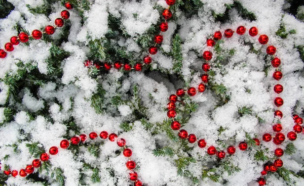 Texture Nombreuses Branches Conifères Couvertes Neige Perles Rouges Forme Coeur — Photo