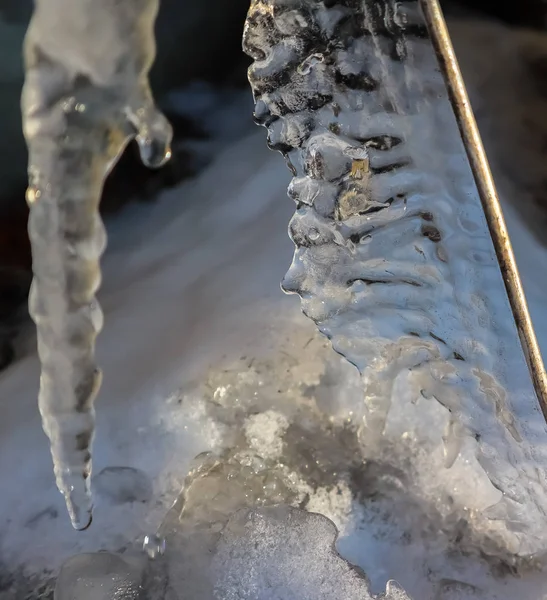 Unusual intricate icicles with sun highlights. You can see a beautiful face in profile.
