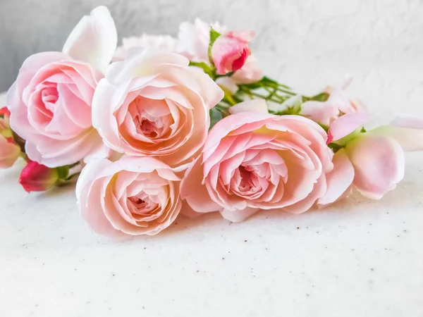 Pink roses isolated on white background. Perfect for background greeting cards and invitations of the wedding, birthday, Valentine\'s Day, Mother\'s Day.