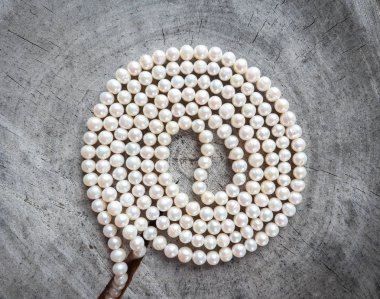 Eski bir güdük pürüzlü yüzeyi beyaz inci boncuk görünümünü bir karahindiba gibi gelen sarmal