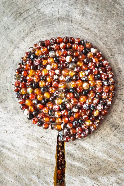 Σπείρα Από Χάντρες Από Κεχριμπάρι Τζάκι Πολυεδρικό Αχάτη Μοιάζουν Δέντρο — Φωτογραφία Αρχείου