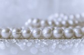 Příroda bílé perly perly na šumivém pozadí