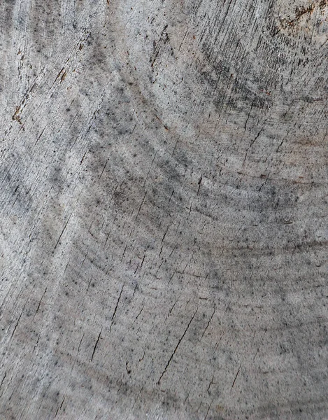 Contexte de la coupe transversale du tronc d'arbre. Texture abstraite fr — Photo