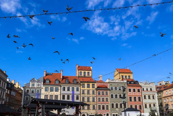 Flygande fåglar över torget i gamla stan med jul d — Stockfoto