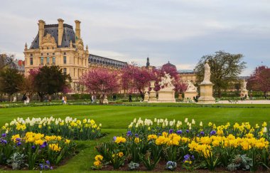 Muhteşem bahar Tuileries Bahçesi ve Louvre Sarayı manzarası 
