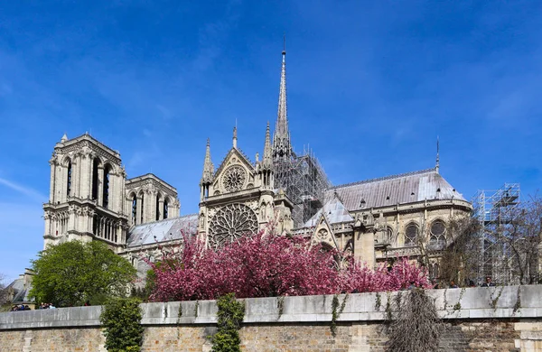 A Notre Dame-székesegyház tavasszal. Mielőtt a tüzet. Április 05, 2019. — Stock Fotó